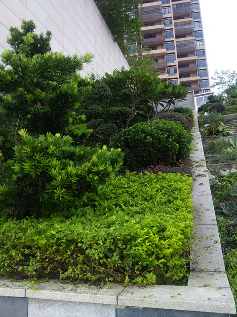 绿化5