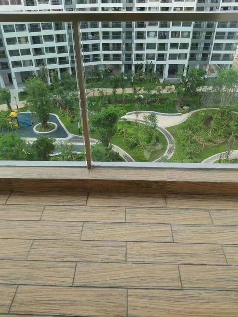 开荒6